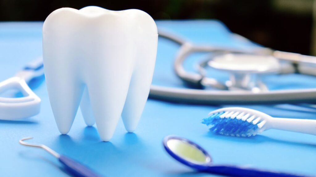 Tooth model with dental tools on tray